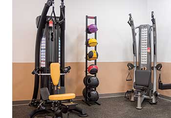 Strength training equipment at Workout Fitness Store