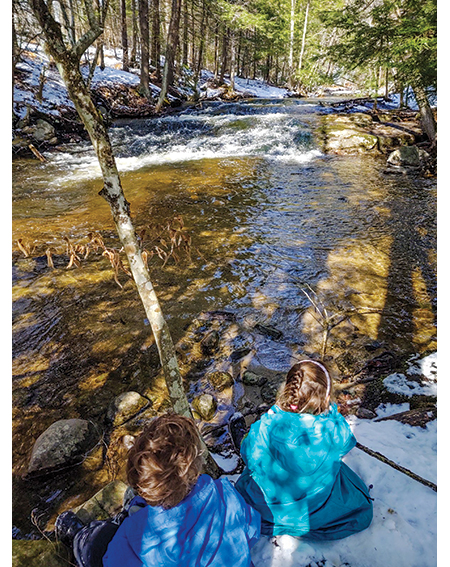 Mill Brook Preserve, Westbrook Maine