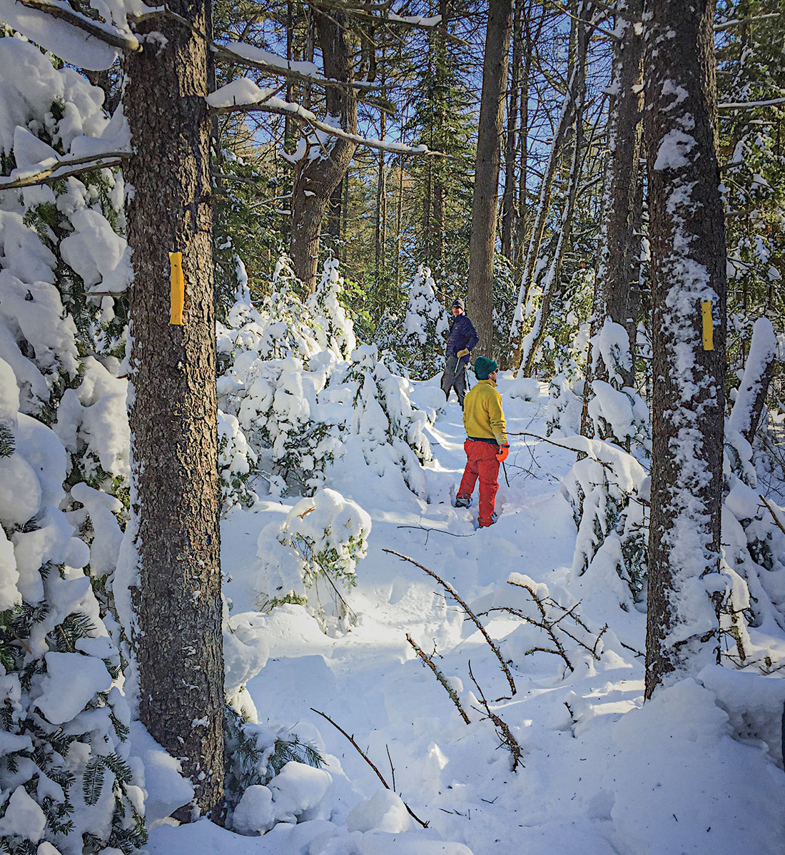 Preserving your peace of mind during winter hikes