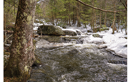 Big Falls Preserve, New Gloucester, Maine