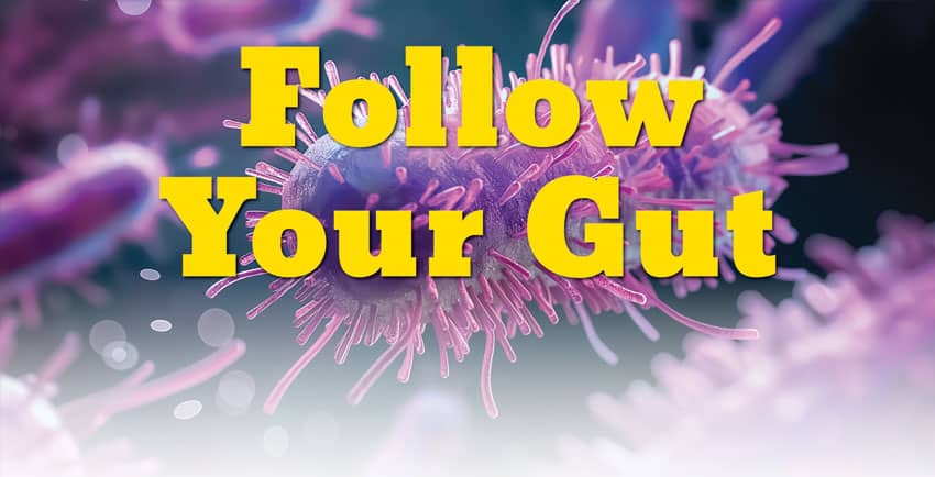 follow-your-gut